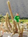 patagonie30015
