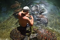 Zeeschildpadden voeren