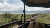 Een kijkje vanuit de jeep