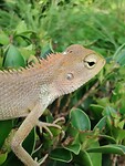 IMG_20221014_100830