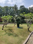 IMG_20221014_104435