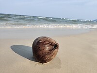 IMG_20221014_161437