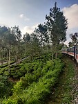 IMG_20240330_124135
