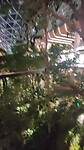 VID_20240322_001734