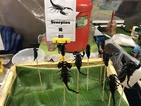 Gegrilde schorpioen voor €2,30