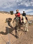 🐪🐪