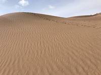 Zandduinen
