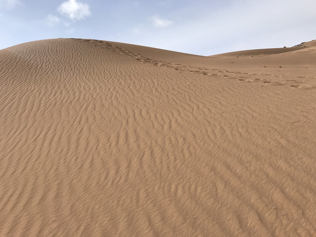 Zandduinen