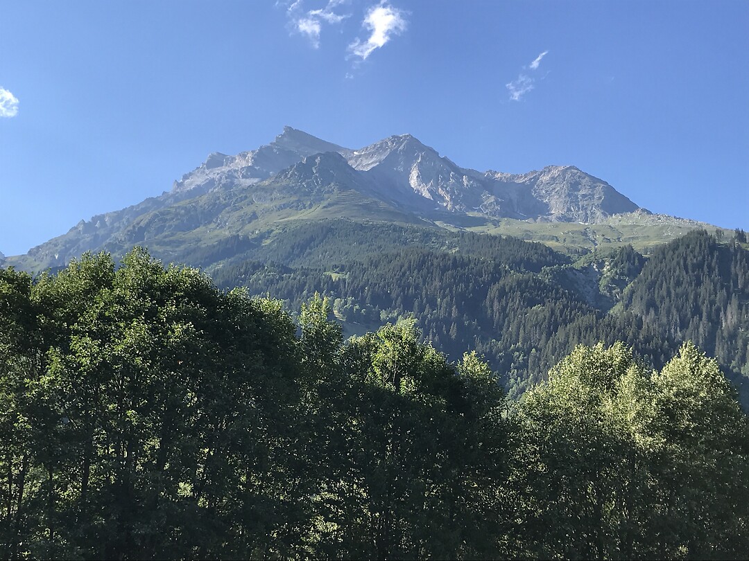 Bergpanorama