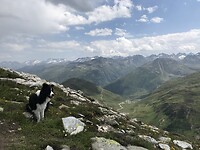 Woofer in hooggebergte
