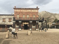 The Yellow Rose