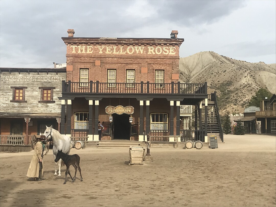 The Yellow Rose