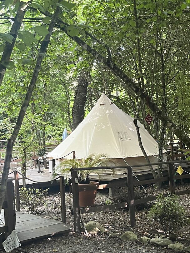 Glamping