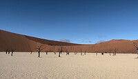 Deadvlei
