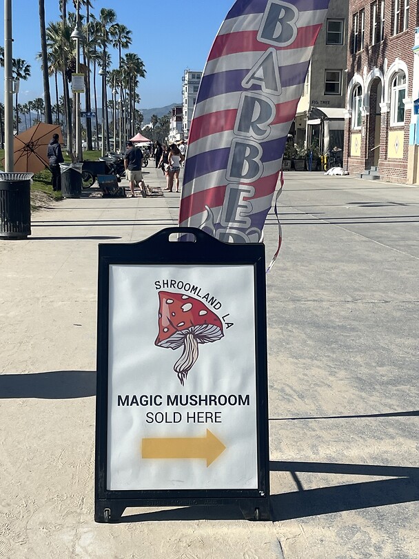 Magic Mushrooms