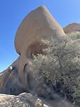 Skull Rock Joshua Tree NP