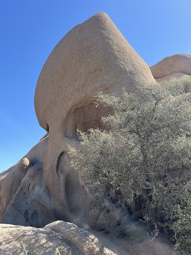 Skull Rock Joshua Tree NP