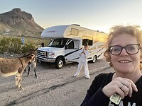 Oatman 🫏