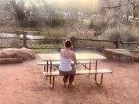 Zion NP