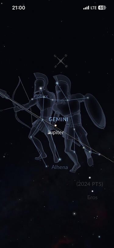 Gemini in the Galaxy 🪐