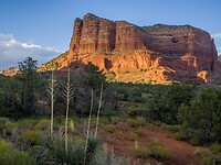 P9130267