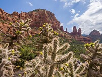P9130301