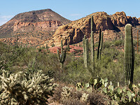 P9151336