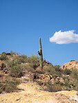 P9151320