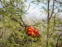 P9161416