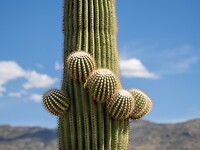 P9161409