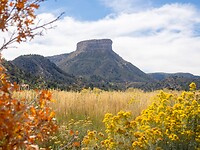 P9281809