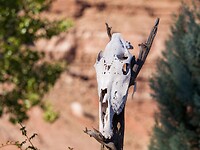 P9292052