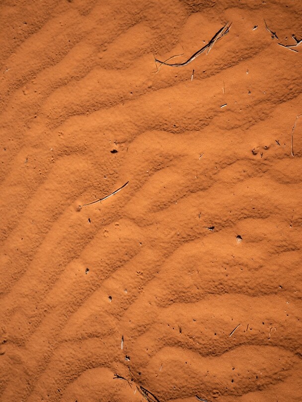 P9302396