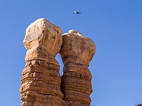 P9292042
