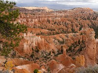 PA010442
