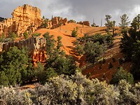 PA010383