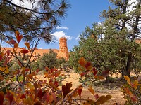PA010540