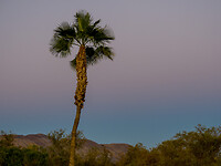 PA050449