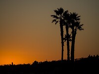 PA060576