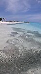 Stingrays nabij Fulidhoo