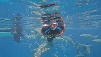 Adrenaline snorkelen