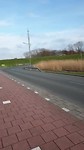 Kijk hoe t zonnetje haar best doet
