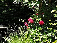 20190617_134203