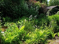 20190617_134156