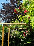 20190617_134145