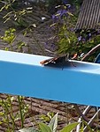 20190617_173544