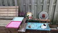 IMG-20191110-WA0012