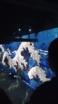 Van Gogh 1