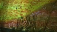 20191207_121257