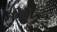 20191207_121714